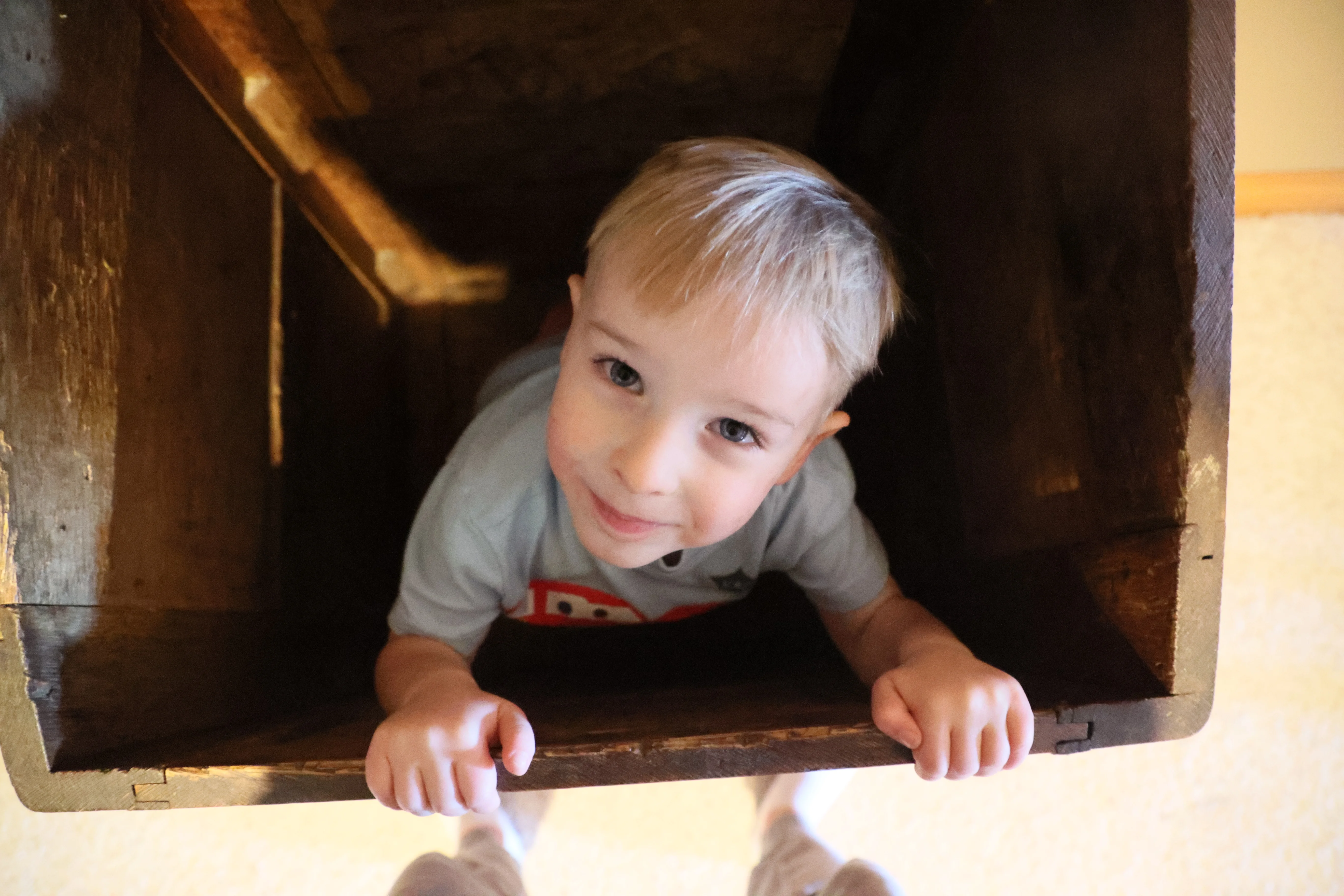Leo in the laundry basket